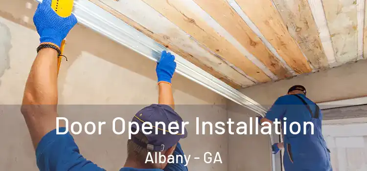 Door Opener Installation Albany - GA
