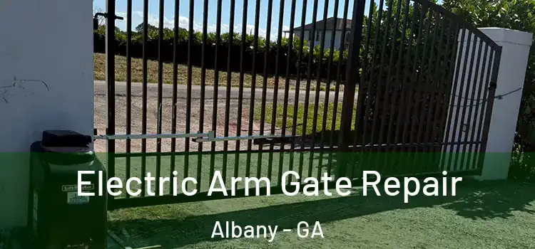  Electric Arm Gate Repair Albany - GA