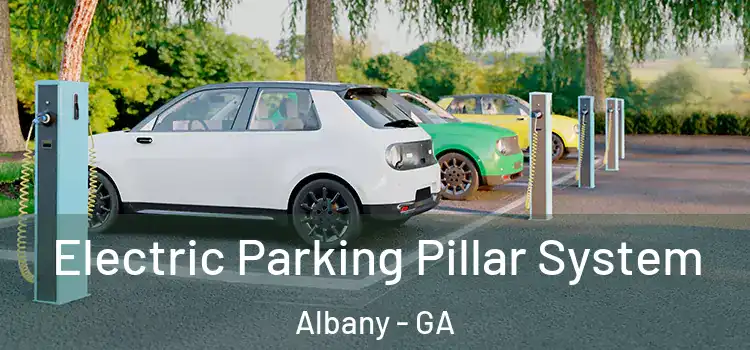  Electric Parking Pillar System Albany - GA