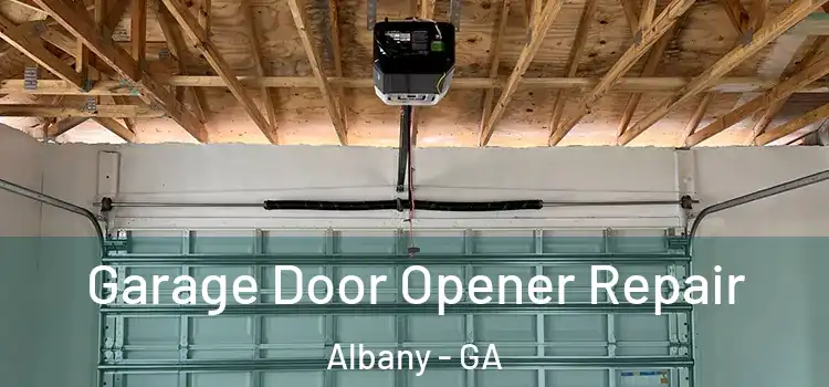  Garage Door Opener Repair Albany - GA