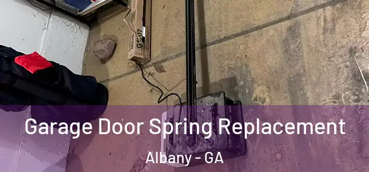  Garage Door Spring Replacement Albany - GA