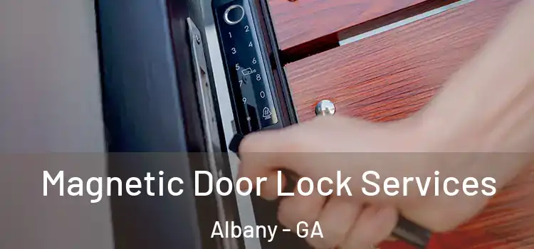 Magnetic Door Lock Services Albany - GA