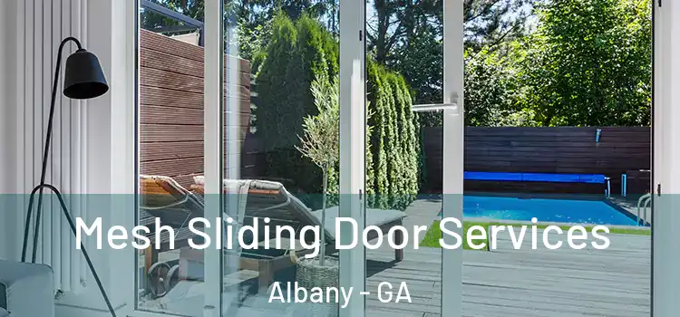 Mesh Sliding Door Services Albany - GA