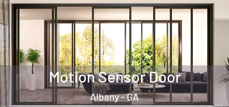Motion Sensor Door Albany - GA