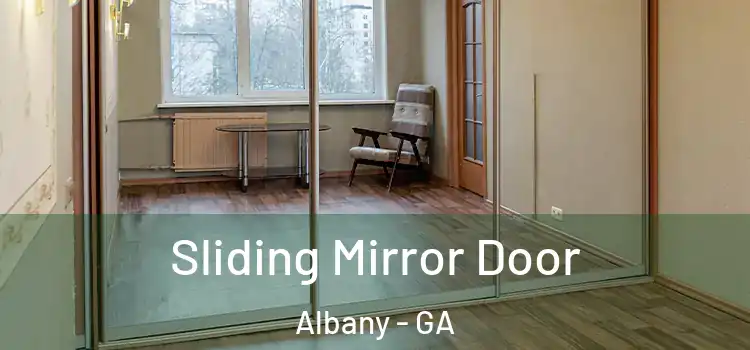  Sliding Mirror Door Albany - GA